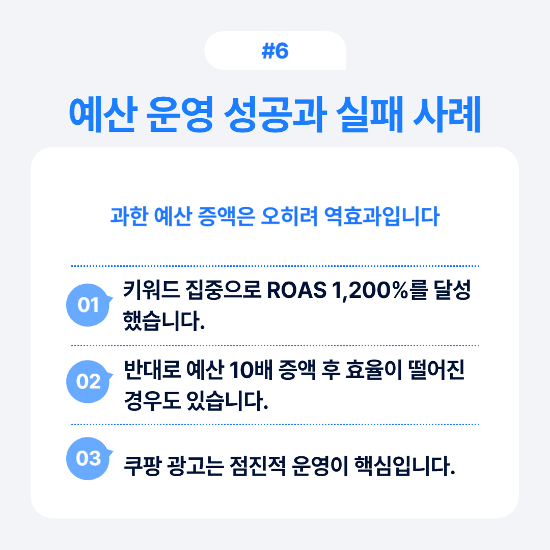 쿠팡 광고 예산 최적 전략 가이드 6 효율적인 예산 운영으로 ROAS 1,200%를 달성한 사례를 보여줍니다.