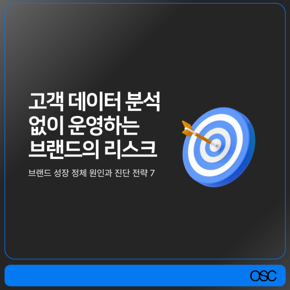 고객 데이터 분석 없이 브랜드 리스크