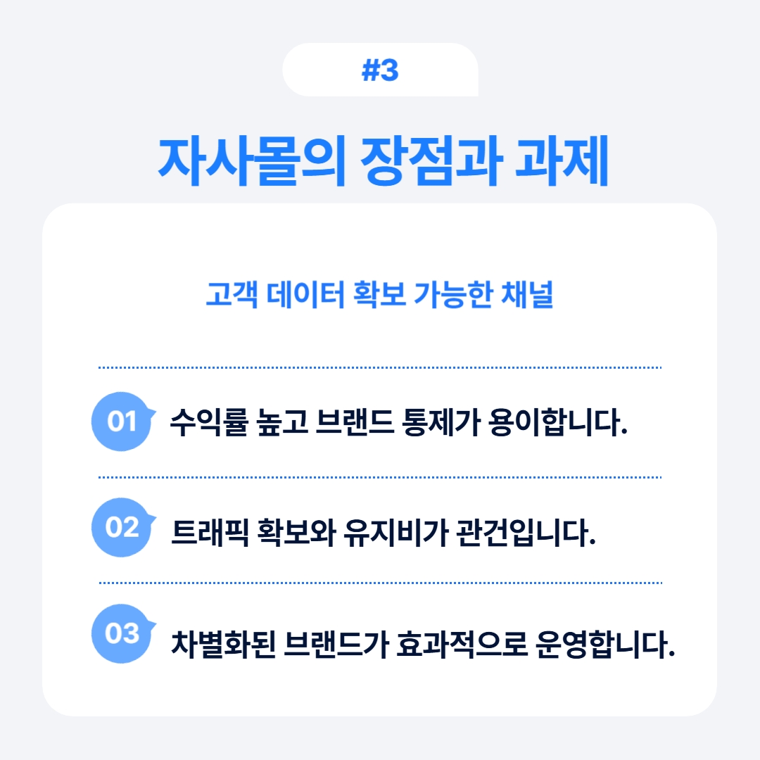 자사몰의 장점과 과제를 분석한 내용