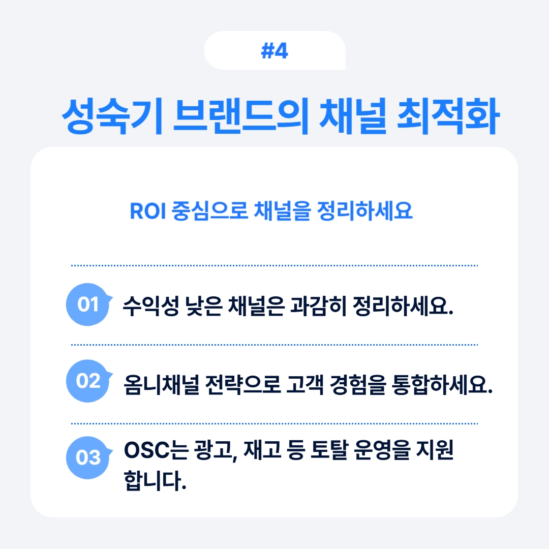 성숙기 브랜드의 채널 최적화와 ROI 관리를 설명하는 이미지.
