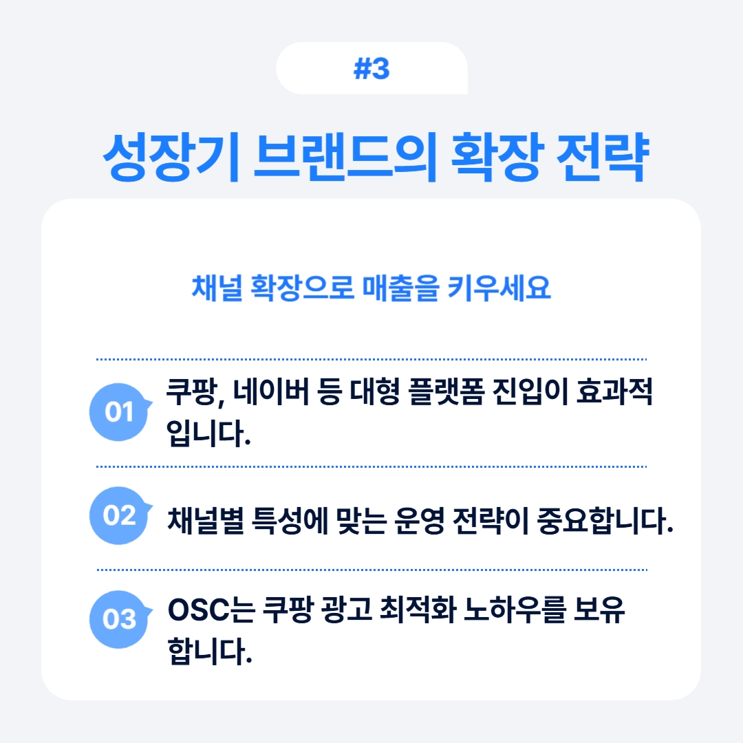 성장기 브랜드의 확장 전략을 설명하는 이미지.