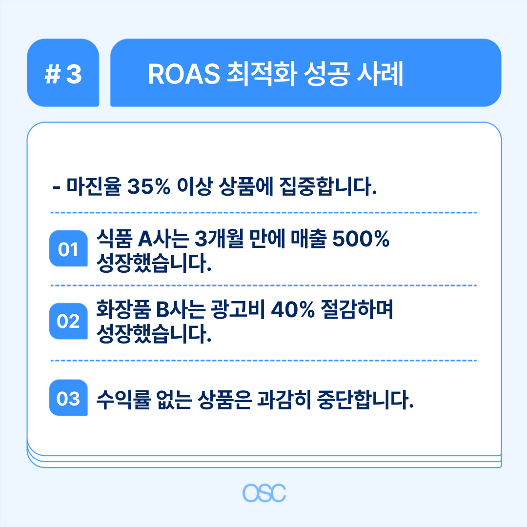 ROAS 최적화를 통해 성공적인 매출 증가 사례 설명